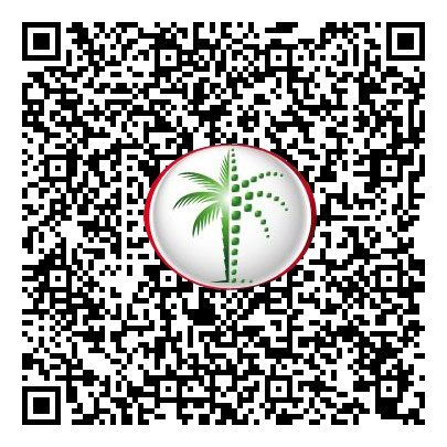 QR iamge